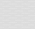Lorem ipsum